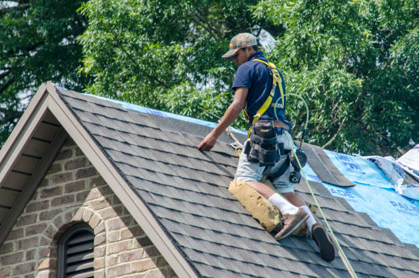 Best Sealant for Roof  in Derma, MS